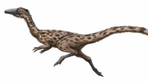 podokesaurus-300x169.jpg